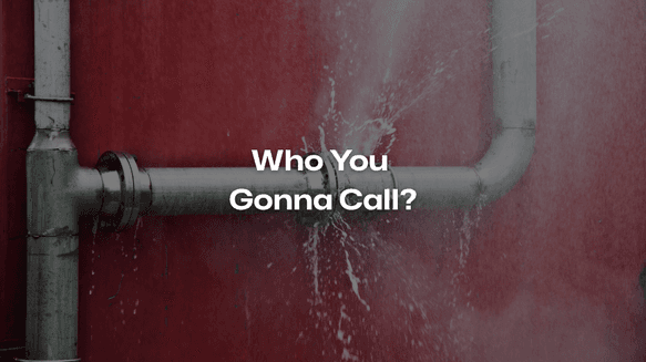Who You Gonna Call